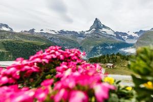 Idyllic landscape in the Alps with fresh green meadows and blooming flowers and snowcapped mountain tops in the background. photo