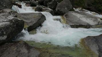 Malerischer Blick auf den Wasserfall im Wald video