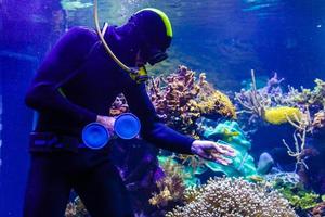 Cleaning a huge aquarium, aquarium cleaner photo