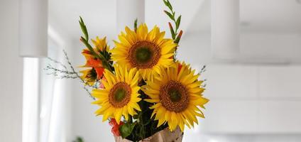 Still life with Sunflowers. photo