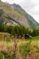 hermoso recorrido de exploración por las montañas en suiza. foto