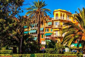 Palm tree and colorful hotel with balconies photo