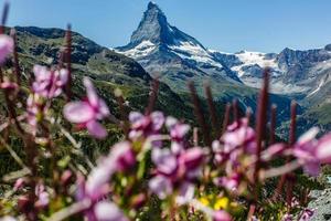 Matterhorn behind a beautiful lake photo