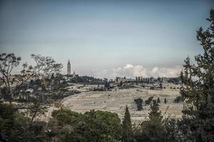colinas y árboles en las afueras de jerusalén, israel foto
