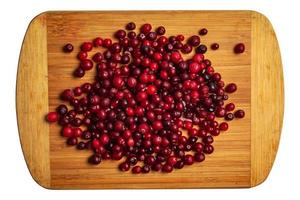Fresh cranberries or Oxycoccus. Cranberries are rich in vitamins and minerals. Berries are used in medicine and cooking. photo