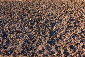 fondo de textura del suelo. suelo fértil apto para la siembra. campo agrícola arado, tierra seca de cerca. foto