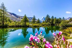 Matterhorn reflejando en Grindjisee en los Alpes suizos, Suiza foto