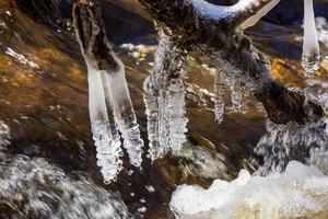 Small Forest River photo