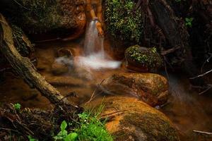 un pequeño arroyo forestal con acantilados de arenisca y piedras foto