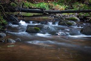 Small Forest River With Stones photo