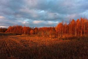 paisajes naturales de otoño en letonia foto