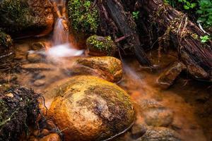 un pequeño arroyo forestal con acantilados de arenisca y piedras foto