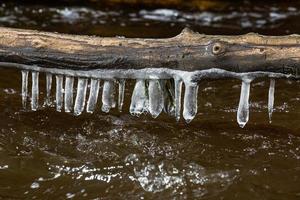 Icicles in a Small Forest River photo