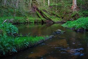 a Small Forest Stream With Sandstone Cliffs and Stones photo