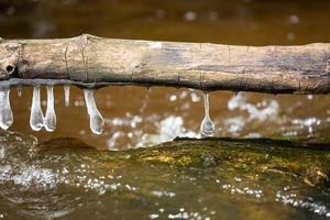 carámbanos en un pequeño río forestal foto