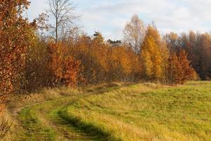 Natural Autumn Landscapes in Latvia photo