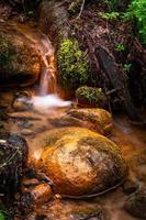 a Small Forest Stream With Sandstone Cliffs and Stones photo