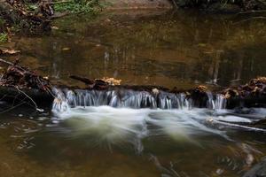 Small Forest River With Stones photo