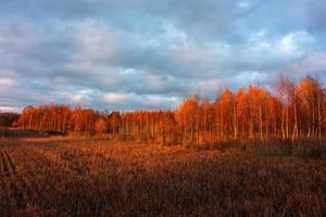 paisajes naturales de otoño en letonia foto