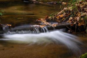 Small Forest River With Stones photo