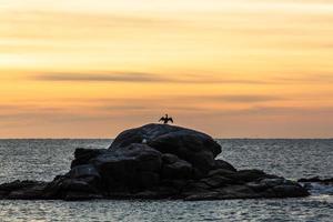 Views of Costa Brava Coast photo