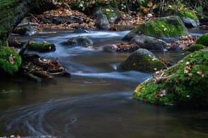 pequeño río forestal con piedras foto