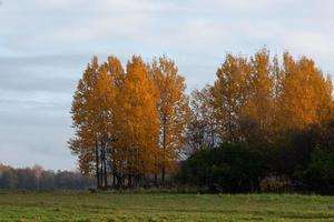 Natural Autumn Landscapes in Latvia photo