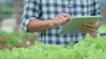 agricultura orgânica, fazenda de salada. os agricultores verificam novamente o registro de qualidade na aplicação em tablet. vegetais hidropônicos crescem naturalmente. jardim com efeito de estufa, biológico ecológico, saudável, vegetariano, ecologia video