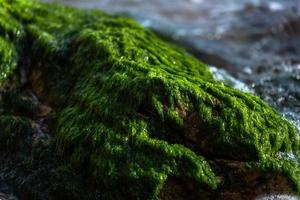 Views of Costa Brava Coast photo