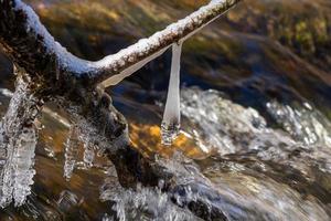 Icicles in a Small Forest River photo