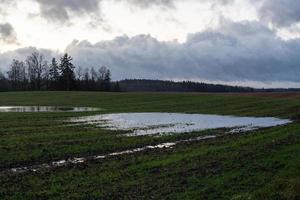 Natural Autumn Landscapes in Latvia photo