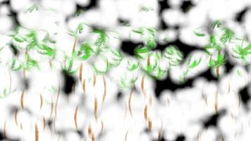 Abstract Flowers Botanical Digital Illustration video