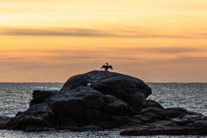 Views of Costa Brava Coast photo