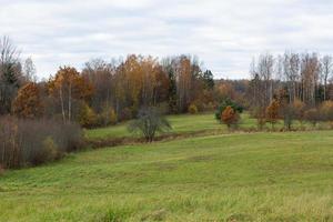 Natural Autumn Landscapes in Latvia photo