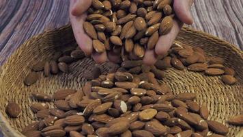 Hands holding a handful of almonds, the edible seeds of Prunus dulcis. Healthy eating and vegetarian concept. video