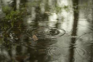 charco en primavera. círculos en el agua. la superficie del agua después de la lluvia. foto