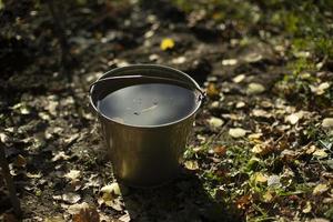 Leaves float in water. Autumn leaves in steel bucket. Bucket of water in garden. Garden tool. photo