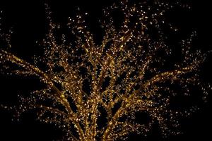 Garlands on tree. Light bulbs in dark. photo
