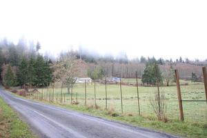 Country roads with meadows, iron fences and pine forests. photo