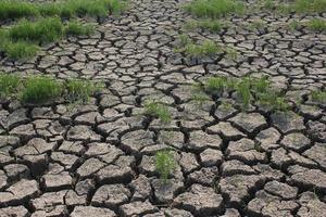 Soil drought conditions in Asian countries photo
