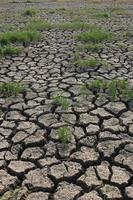 Soil drought conditions in Asian countries photo