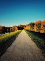 Autumn Walking Path photo