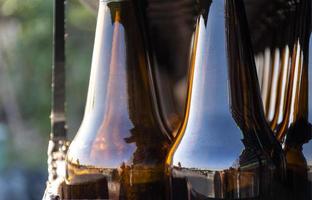 Close up beer bottle in pallet for brewing in industrial plants photo