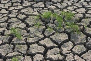Soil drought conditions in Asian countries photo