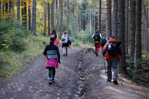 CARPATHIAN MOUNTAINS, UKRAINE - OCTOBER 8, 2022 Mount Hoverla. Carpathians in Ukraine in autumn photo