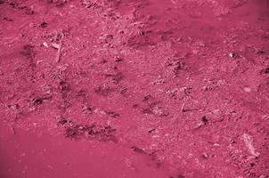 The surface of an old swamp covered with duckweed and lily leaves. Image toned in Viva Magenta, color of the year photo