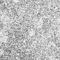 The pattern small grey pebbles stone as background. pebbles texture wall and floor. photo