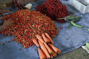 spices, red chilies are being sorted to be sold in traditional markets photo