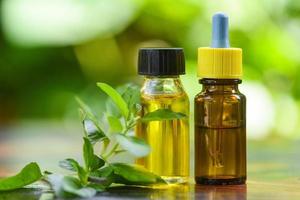 aceite esencial de albahaca santa fondo natural y verde - botellas de aceite de hierbas de aromaterapia aroma con hojas formulaciones de hierbas que incluyen hierbas foto