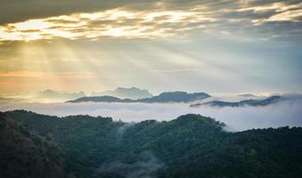 Morning scene sunrise landscape  beautiful on hill with fog misty cover forest and mountain photo